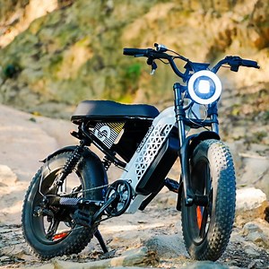 [Hot Item] 48V 1000W 20 Inch Bicicletas ELé Ctricas 750W Electric Mountain Bike & Fat Tire E-Bike