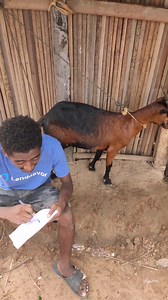 479K views · 22K reactions | CALCUL  #funnyvideos | BRADA | Facebook