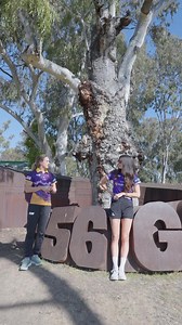 3K views · 136 reactions | We 﫶 Goondiwindi | Queensland Firebirds | Facebook