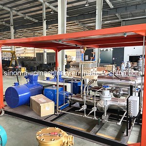 [Hot Item] Cryogenic LNG Pumps LNG Gas Supply Skid of Road Tank Liquid Oxygen Nitrogen Gas Cylinder Filling Pumps Skid