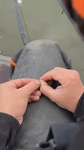 Feedervissen met Sven Boon 🇧🇪🎣 #feedervissen #feederfishing #roachfishing #tackleguru #angling | Tackle Guru Benelux