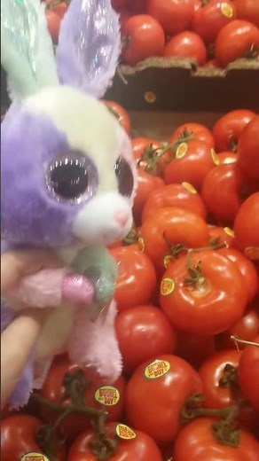 Beanie Boo/Bloom loves Tomatos