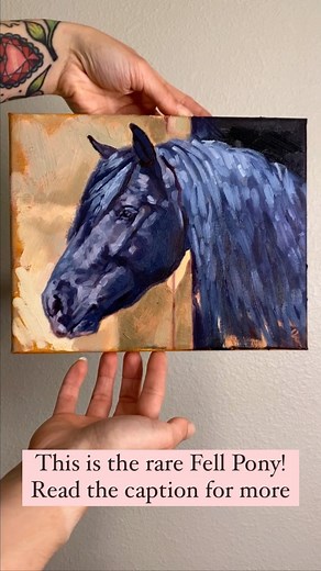 12K views · 190 reactions | Doesn’t this pony look like she’s...