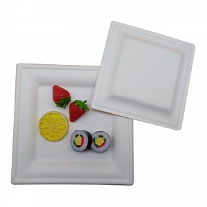 [Hot Item] Compostable Food Container Tableware Biodegradable Sugarcane Paper Dinner Plate Sets