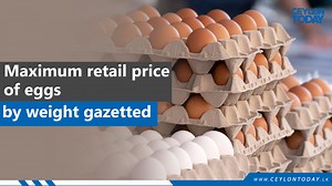Maximum retail price of eggs by weight gazetted | Ceylon Today