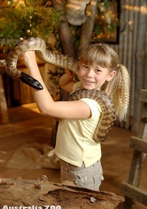 Bindi, the Jungle Girl TV Series (2007-2008), Watch Full Episodes of All Seasons Online