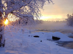 Winter Solstice 2021, Ursid Meteors: What To Expect In Geneva