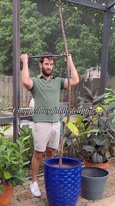 76K views · 3K reactions | Why did I chop it?! ✂️ : @pvplantguy It...