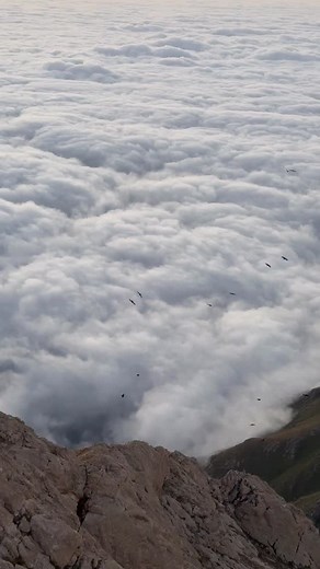 ⛰️ | Soul of Mountains