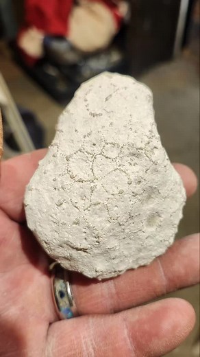 Here is another bottom of the bucket Petoskey. Another hard to see pattern. This one felt a lot lighter than normal. Thought I would give it a go. Face polished only. The underside is kinda neat by itself. As you will see in the end. The fossil was kinda pitty once I got through that rough exterior. Even after the final polish, you can still see some small pits. You never know what beauty you can bring out in a stone.........until you try! Happy Hunting! #northporttradingpost #puremichigan #mich