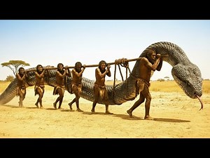 Life Millions of Years Ago: How Early Humans Faced the Deadly Threat of the Prehistoric Giant Python