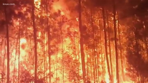 14 years since the Complex Fire in Bastrop County