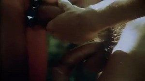 Boyz in the sand 1971 This is narrated by Wakefield Poole the director and writer of the film