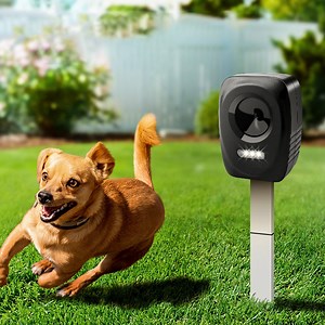 [Hot Item] Eco-Friendly Ultrasonic Solar Animal Repellent for Fox Bird Outdoor Bark Control
