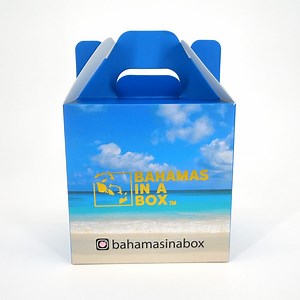 [Hot Item] 2024 Customized Corrugated Full Color 3 Pack Wine Carton with Handle