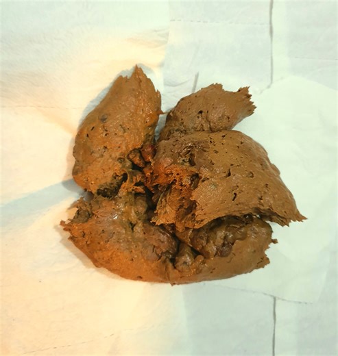 Shitting on toilet lid.