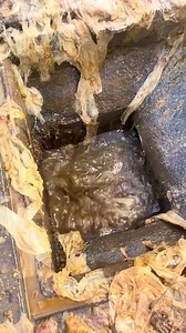 Gentle collapse藍 #drain #drains #drainage #drainclean...