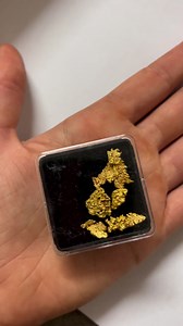 Look at this crystal gold mum and dad found 😍 worth a lot more than spot! | Tyler Mahoney