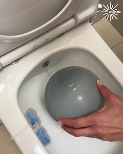 Why washing is better than wiping 💯 | Classic Cartoons