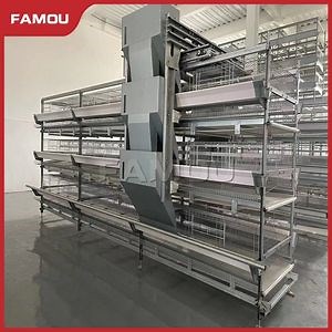 [Hot Item] Advanced Modular H-Type Poultry Feeding and Drinking System