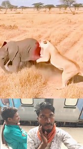 110K views · 458 reactions | #reelsinstagram #reelsinst #sinstagram #reelsin #stagram #agram #happy #reel #lsinst #ree @highlight | Chhotu Shikari | Facebook