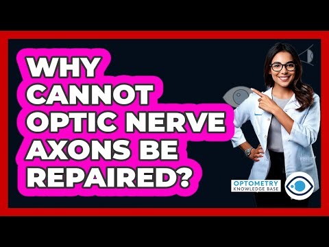 Why Cannot Optic Nerve Axons Be Repaired?