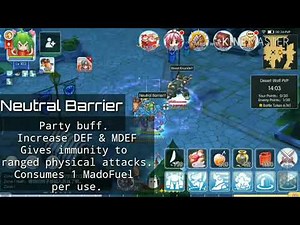 Mechanic Skill Test: Neutral Barrier & Magnetic Field