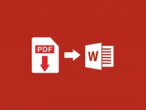 Download Software   Lisensi "PDF to Word Converter Pro" Senilai $29.99 (Gratis!)