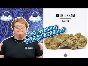Blue Dream Strain Review (2025 Revisited): The Mellow Masterpiece