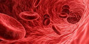 Blood type compatibility for transfusion and conception