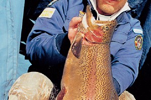 Location is Everything When Ice Fishing for Trout - In-Fisherman