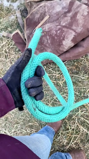 #barrelracingtips #barrelhorsesoftiktok #barrelhorsetrainer #barrelracingcoach #barrelrace #barrelracerland #barrelracingtraininghelp #barrelracing