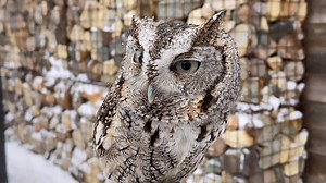 17K views · 382 reactions | With winter weather rolling into...