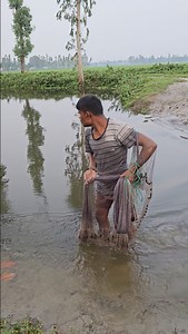66K views · 340 reactions | Cast Net Fishing | Traditional Net Fishing With Beautiful Nature | Fishing With Cast Net #fishing #netfishing #fishing24 | Fishing 24 | Facebook