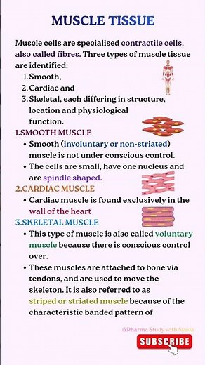 Muscle Tissue Types | Skeletal, Cardiac & Smooth Muscle Explained #shorts #muscle #muscletissue