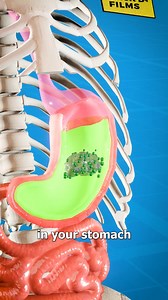 2.7M views · 10K reactions | Why Do We Vomit? 濫 | Zack D. Films | Facebook