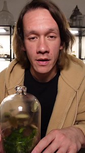 79K views · 3.1K reactions | Terrarium Updates #worcesterterrariums #worcester #terrarium | Worcester Terrariums | Facebook