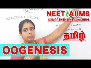 Oogenesis Made Simple- Human Reproduction|Tamil| BIOLOGY SIMPLIFIED12th Biology|