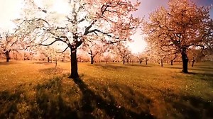 2.6K views · 72 reactions | Cuma geceniz mübarek olsun | En GüzeL SözLer Dini SözLer | Facebook