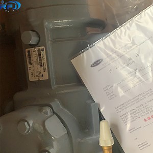 [Hot Item] Carlyle Compressor by Carrier High Efficient 400V-50Hz Screw Compressor 06na2300S5na