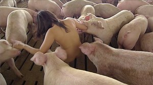 Mud Bath for Thick Skin, Miru Kim, Łódź Biennale 2010