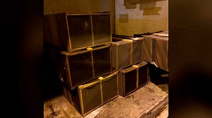 Millions of honeybees used in pollination die in airline shipping