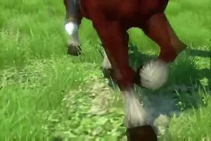 Spellforce 2 DragonStorm video