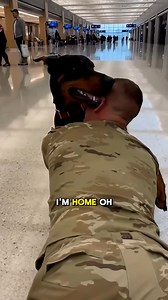 476K views · 10K reactions | That sprint said everything. | Paws And Tales | Facebook