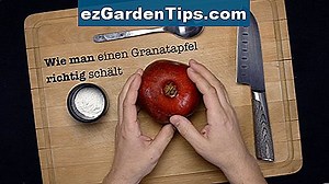 Wie man Baum-Wurzel-Sprösslinge stoppt 🌱 Tipps Gärtner - De.ezGardenTips.com