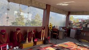 Drukpa on Reels