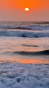 Vibes of Cocoa Beach start the moment you park. Smooth, sunny, and stress-free at Park Port Canaveral. | Park Port Canaveral | Facebook
