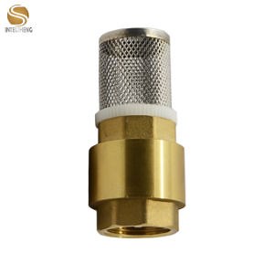 [Hot Item] Vertical Brass Check Valve with Stainless Steel Filter
