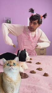 213K views · 1.2K reactions |  Poop on the Bed! Owner Kicks Dog Out!  What Happens Next?  | Meow-some | Facebook