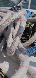 Charleston Sailing Charters on Reels | Facebook